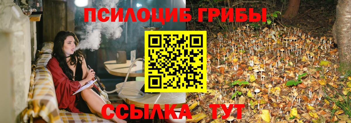 Галлюциногенные грибы Psilocybe  Галлюциногенные грибы мухоморы  Прокопьевск  где найти   Вход с VPN 