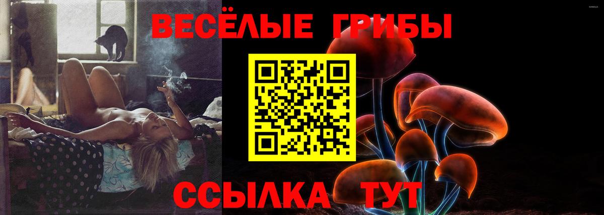 Псилоцибиновые грибы Psilocybine cubensis Прокопьевск